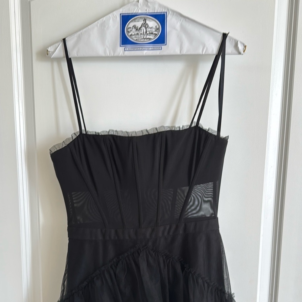 BCBG Tulle Corset Dress - Picture 3 of 5